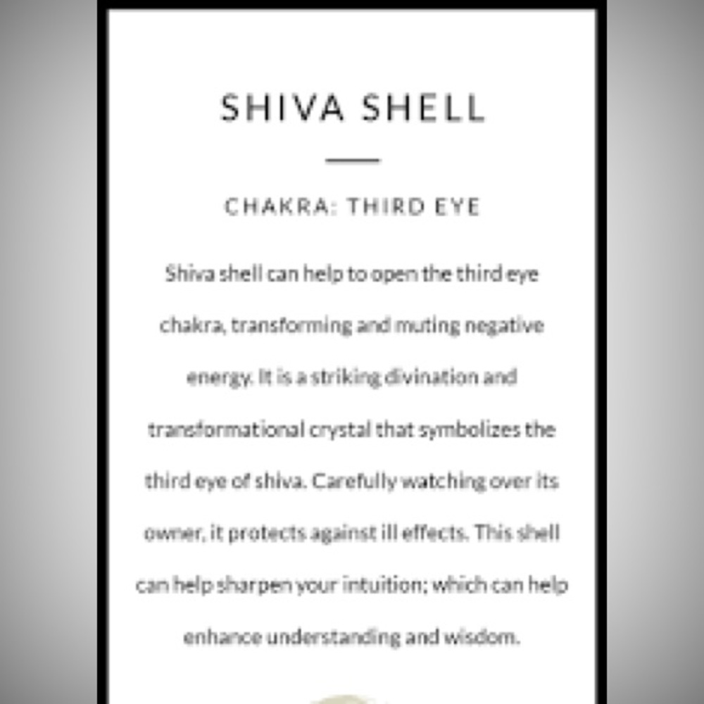 Shiva Shell Heart Key chains - Picture 5 of 5